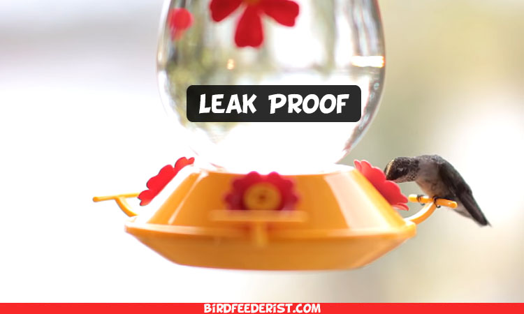 Best Leak Proof Hummingbird Feeder
