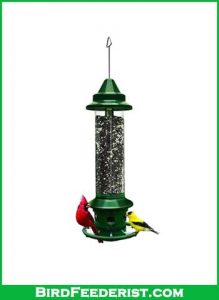 Squirrel-Buster-Plus-Squirrel-proof-Bird-Feeder-review