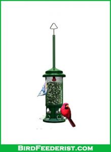Squirrel-Buster-Standard-Squirrel-proof-Bird-review.