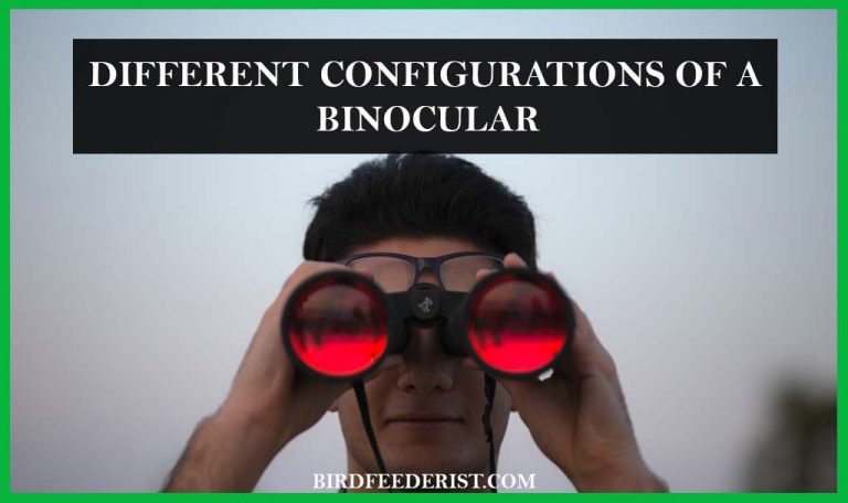 What are different configurations of a Binocular? Used for Birding by BirdFeederist