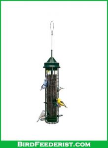 Squirrel-Buster-Classic-Squirrel-proof-Bird-Feeder-review