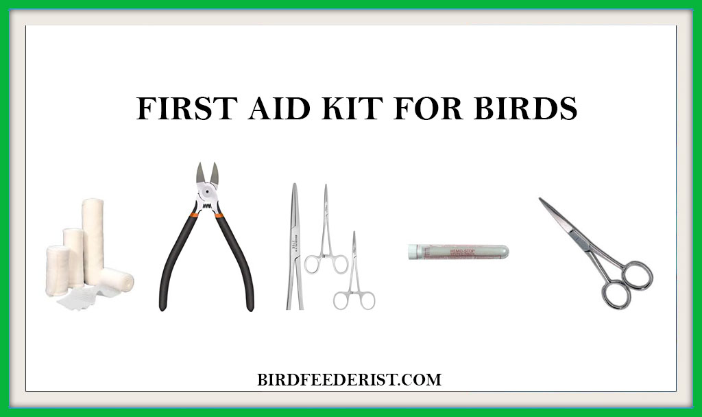 fIRST AID KIT FOR BIRDS