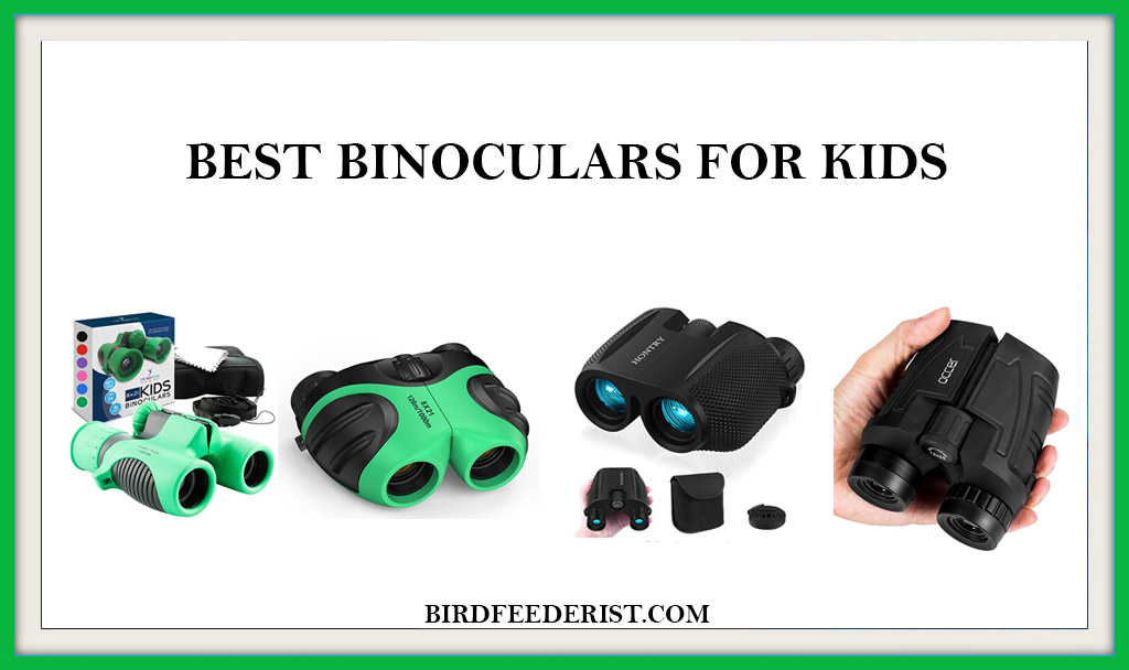 BEST BINOCULARS FOR KIDS