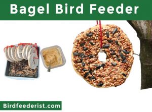 Bagel Bird Feeder