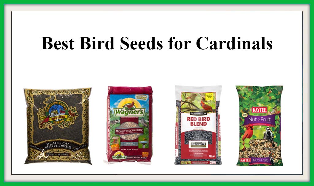 best bird seeds for cardinals